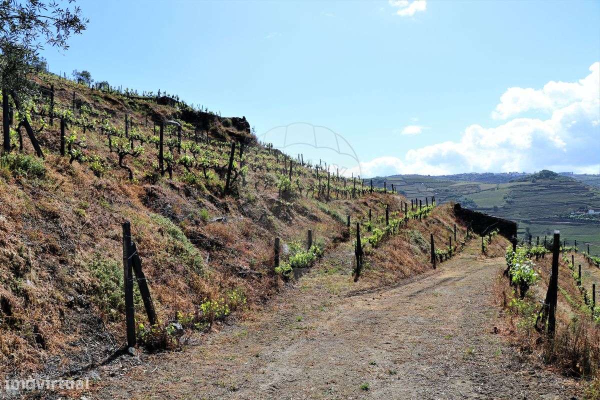 Terreno  para venda - Grande imagem: 5/22