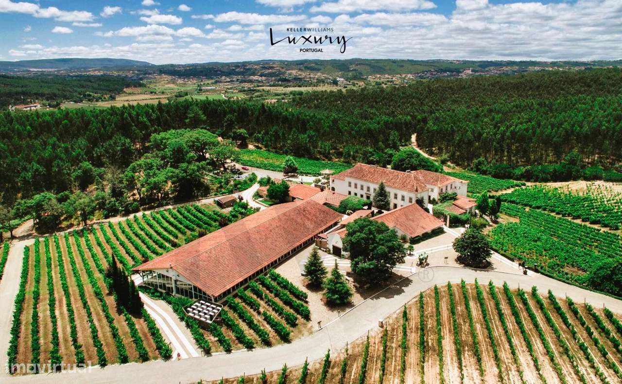 Quinta de Exceção em Ourém – 69 Hectares | Casa Senhorial do Séc. XVII - Grande imagem: 3/60