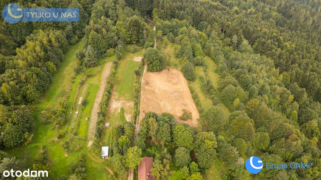 Widokowa działka budowlana - Chełm 13 ar pod bud. - Pełny obrazek: 5/12