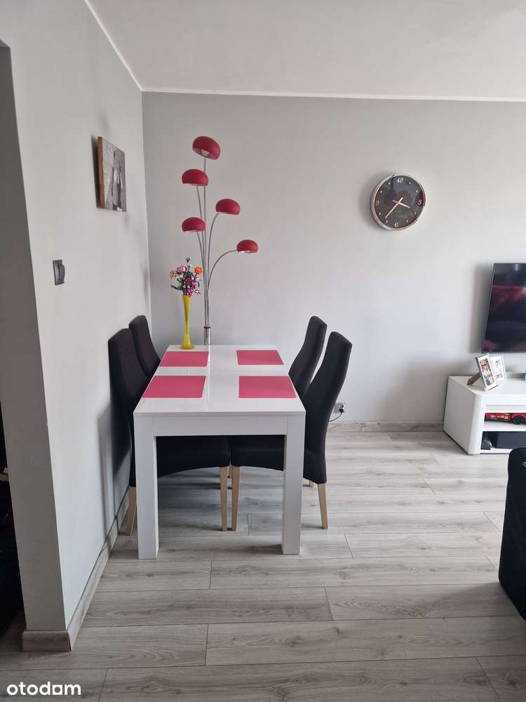 Przytulne mieszkanie/3 pokoje/46m2 - Pełny obrazek: 4/10