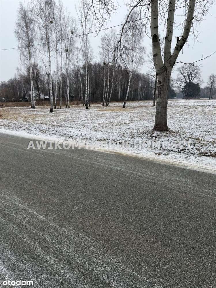 Działka, 24 000 m², Jaktorów-0