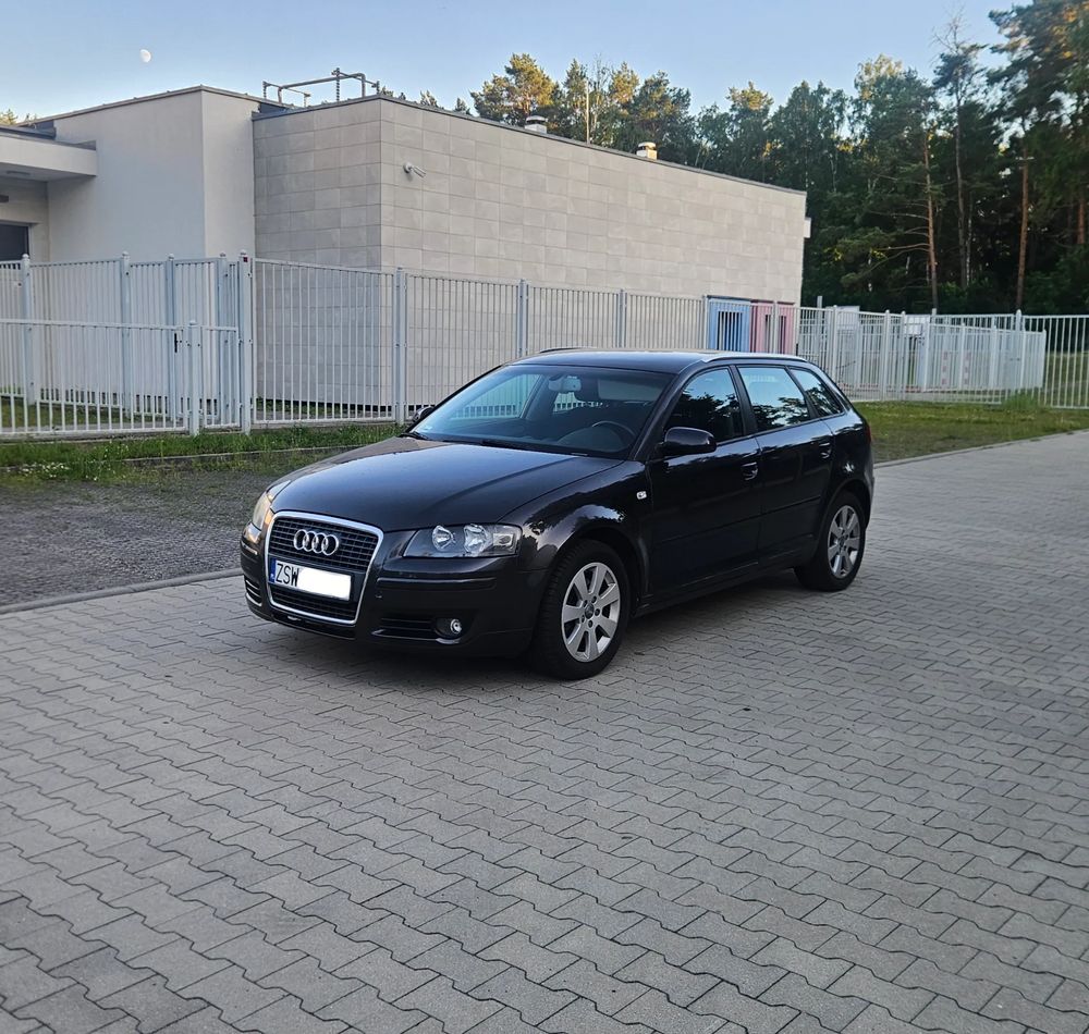 Audi A3 8P (2003-2012) 1.8 TFSI Ambition 2007