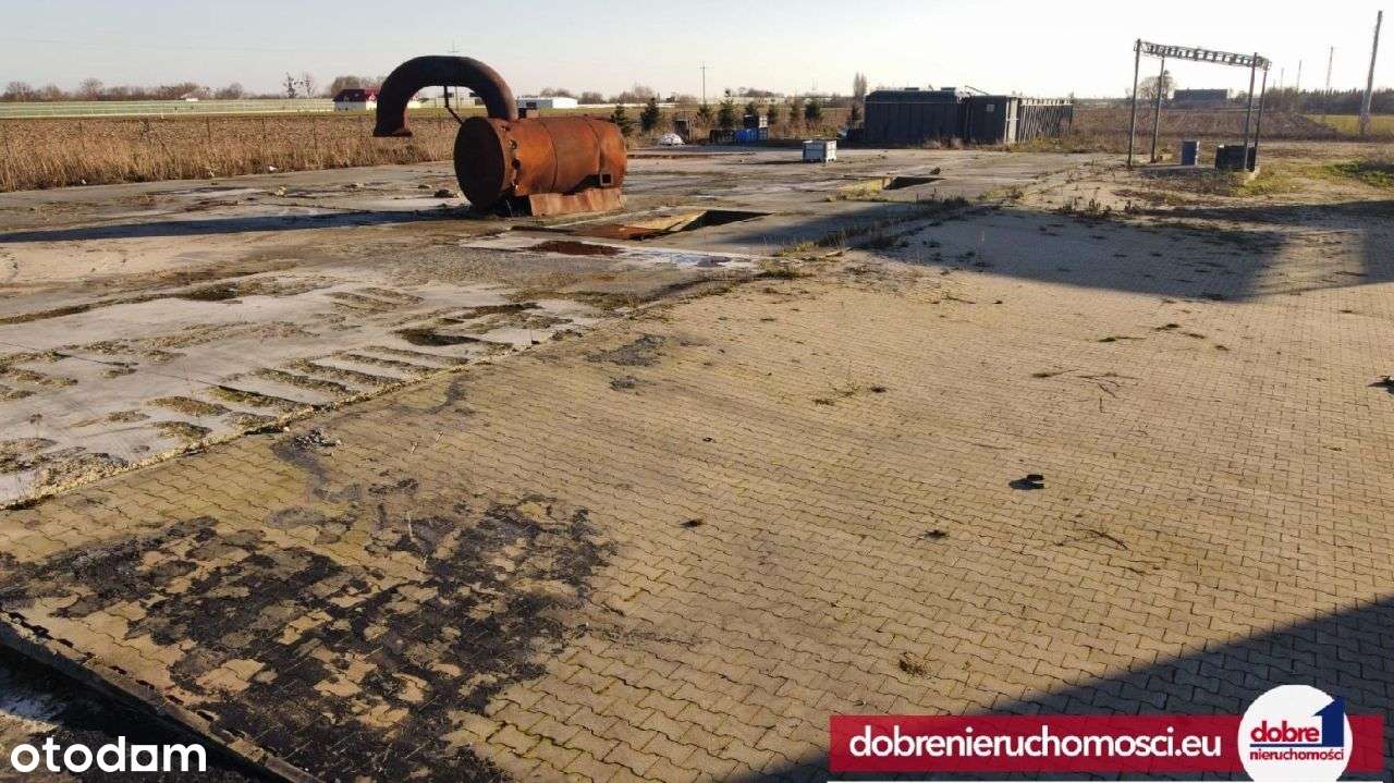 Działka inwestycyjna, 1ha, Trzeciewiec - Pełny obrazek: 4/12