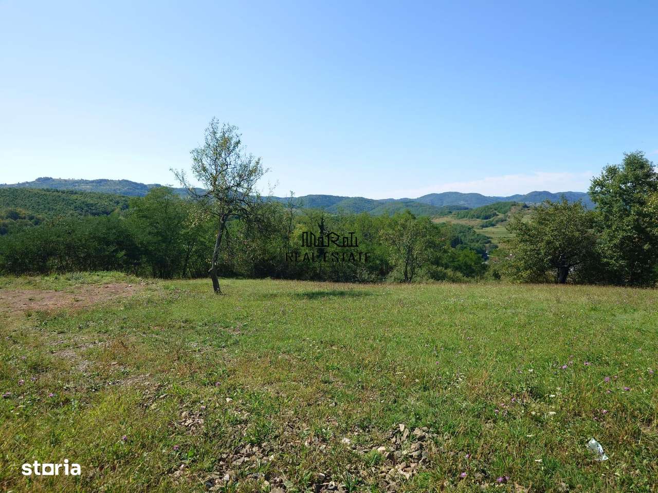 Teren intravilan 8757 mp cu potential turistic si acces direct la E79-2