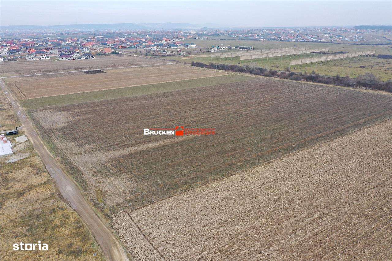 5 PARCELE PENTRU CASA | ZONA REZIDENTIALA I DEZVOLTARE | CIHEI - Imagine principală: 3/7