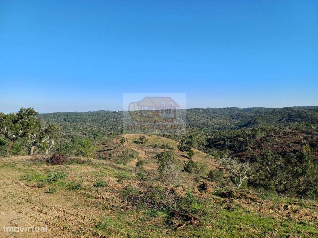 Terreno com 14,5ha para Turismo a 10 km de Melides! - Grande imagem: 3/9