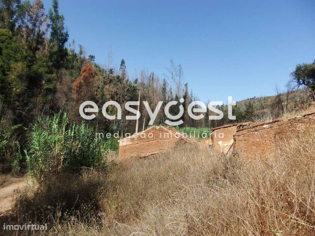 Monte C/ ruína em Monchique junto ao Parque do Barranco dos Pisões - Grande imagem: 3/10