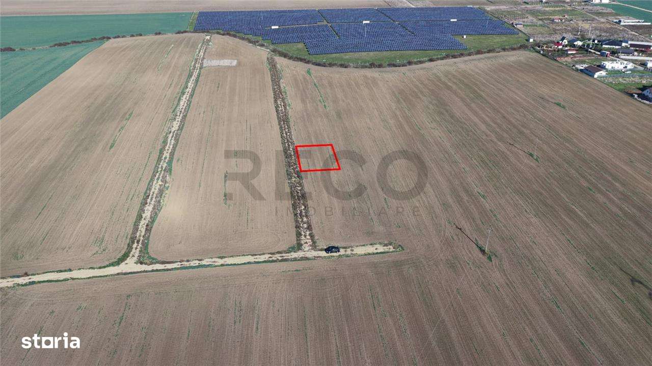 RECO Teren intravilan in LIvada de Bihor - Imagine principală: 4/5