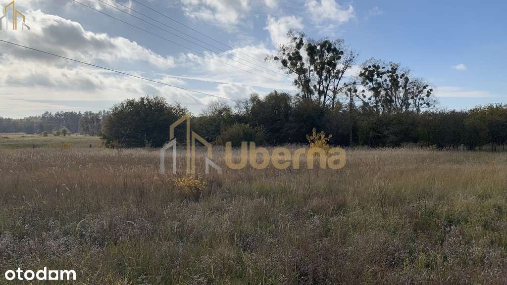 Działka na sprzedaż 2006 m2-6