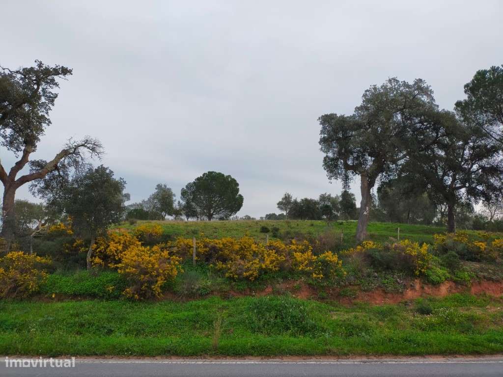 QUINTA COM 5HA DE TERRENO COM 500M2 URBANO - GALVEIAS - PONTE DE SOR-15