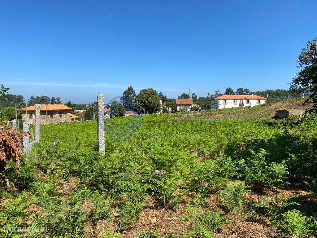 Terreno Urbano para construção em Grijó - Grande imagem: 4/8