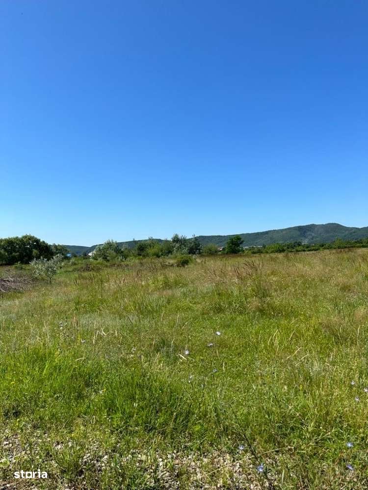BANESTI - teren 2500 mp  parcelabil - 35 Euro/mp - Imagine principală: 2/3