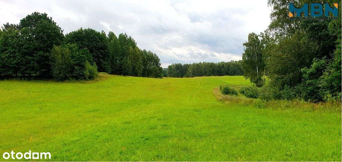 28 hektarów nad jeziorem w gminie Gołdap - Pełny obrazek: 5/20