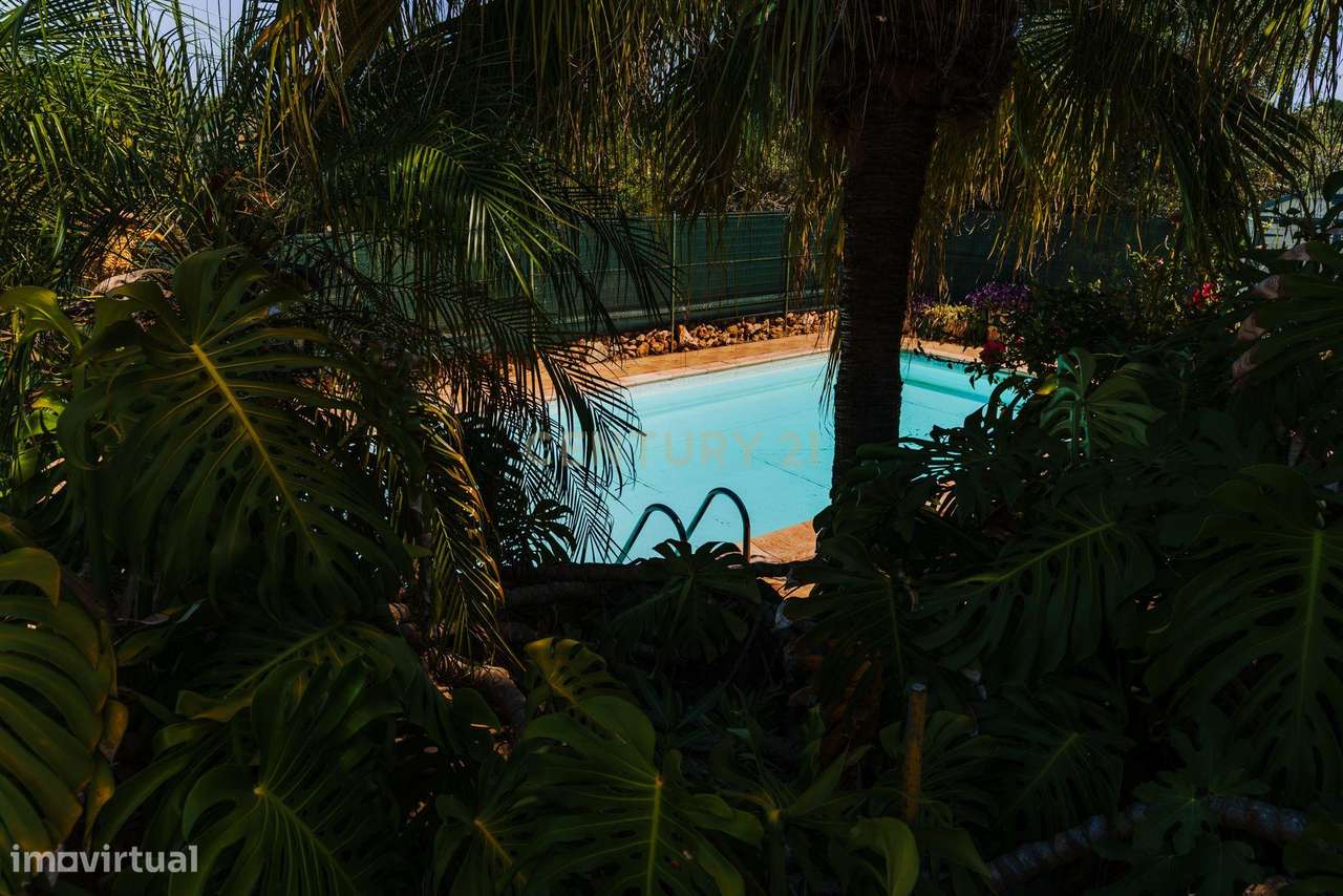 Quinta com 8660 m2 com Moradia, piscina e dois terraços panorâmicos em - Grande imagem: 4/52