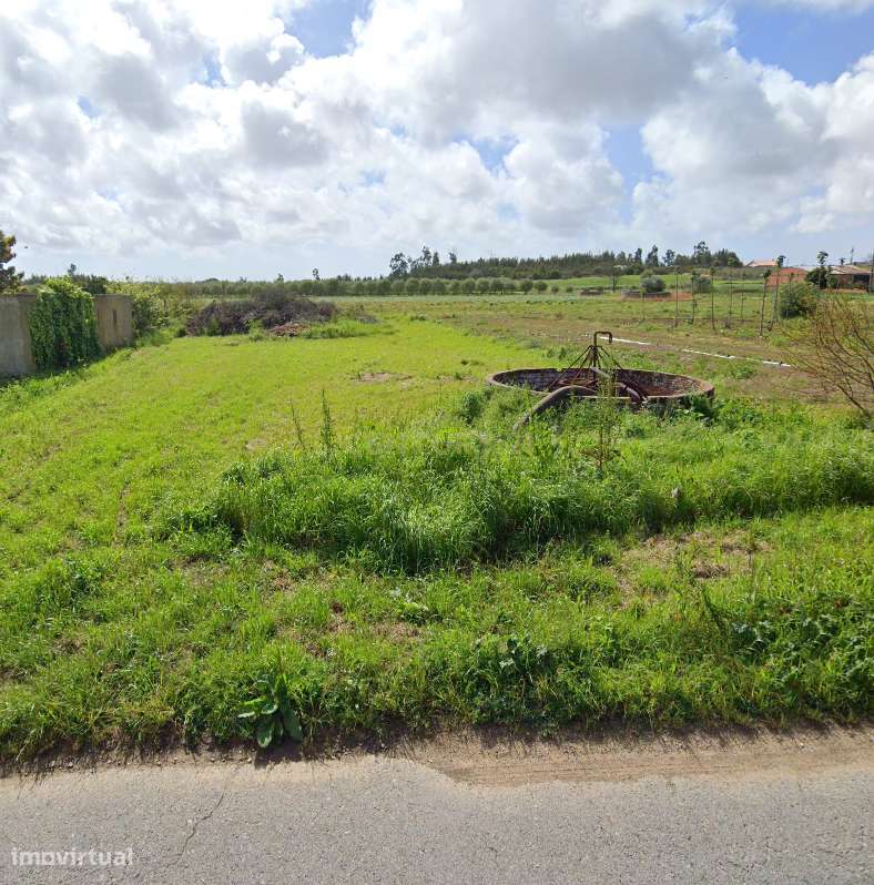 Terreno Rústico em Vagos, Aveiro - Oportunidade Única! - Grande imagem: 2/9