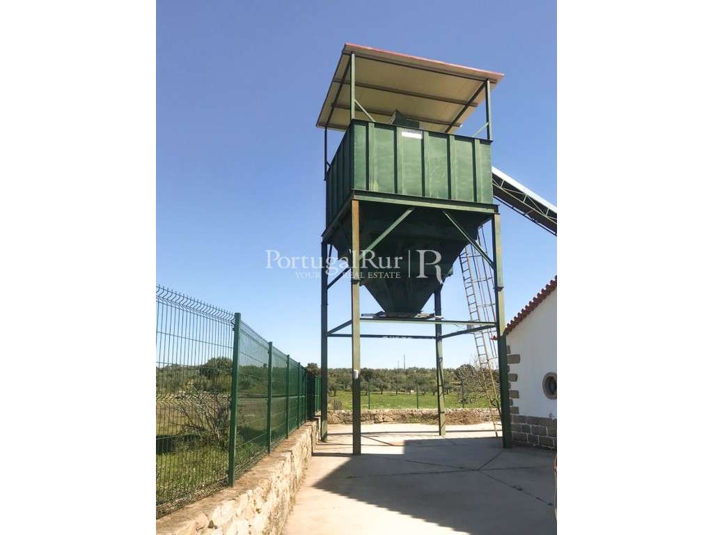 Lagar de azeite completamente renovado - Grande imagem: 2/54