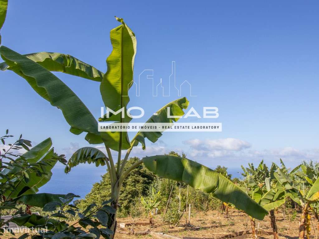 Moradia T1+1 - São Jorge - Vista Mar - Ilha da Madeira-13