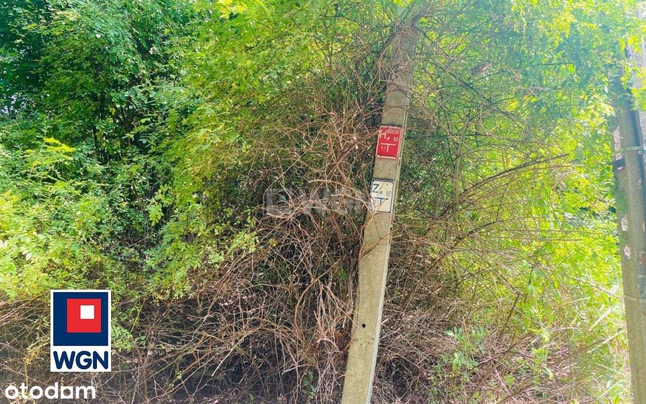 Klimatyczna działka przy lesie Kazimierz Górniczy-16