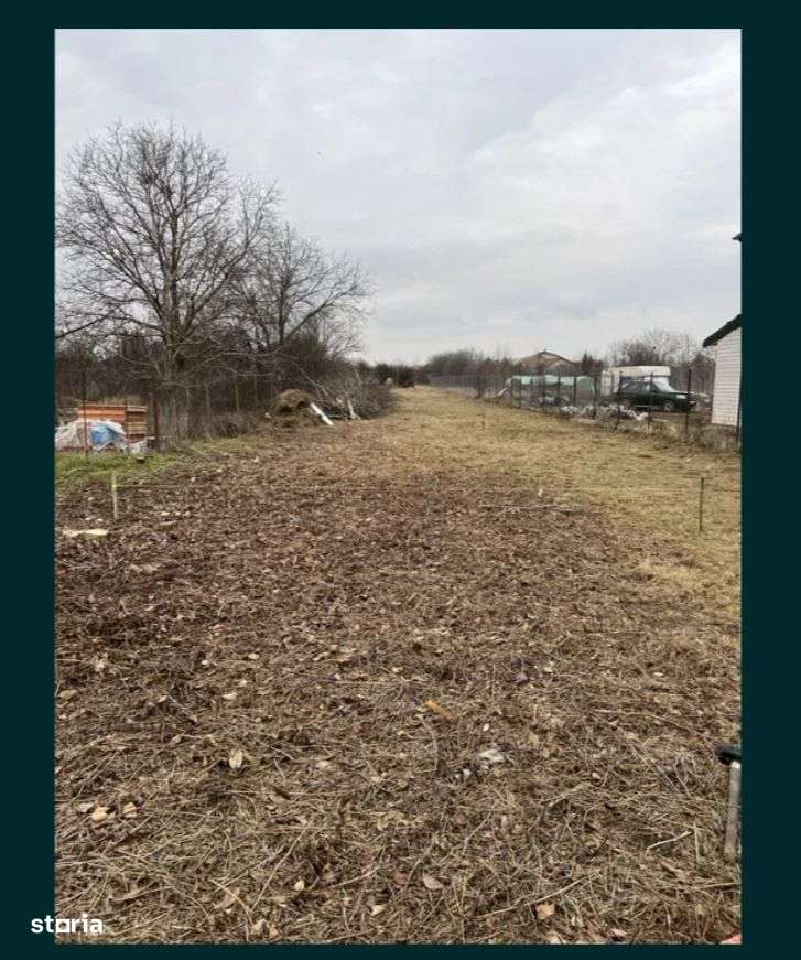 Teren intravilan 1.760 mp Front 14,36 m | Buftea - Imagine principală: 3/3