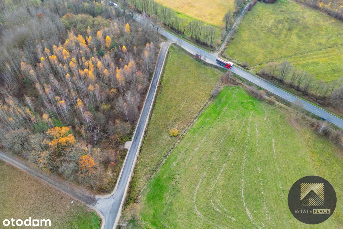 3 544 m² bezpośrednio przy drodze IDEALNApodUSŁUGI - Pełny obrazek: 5/12