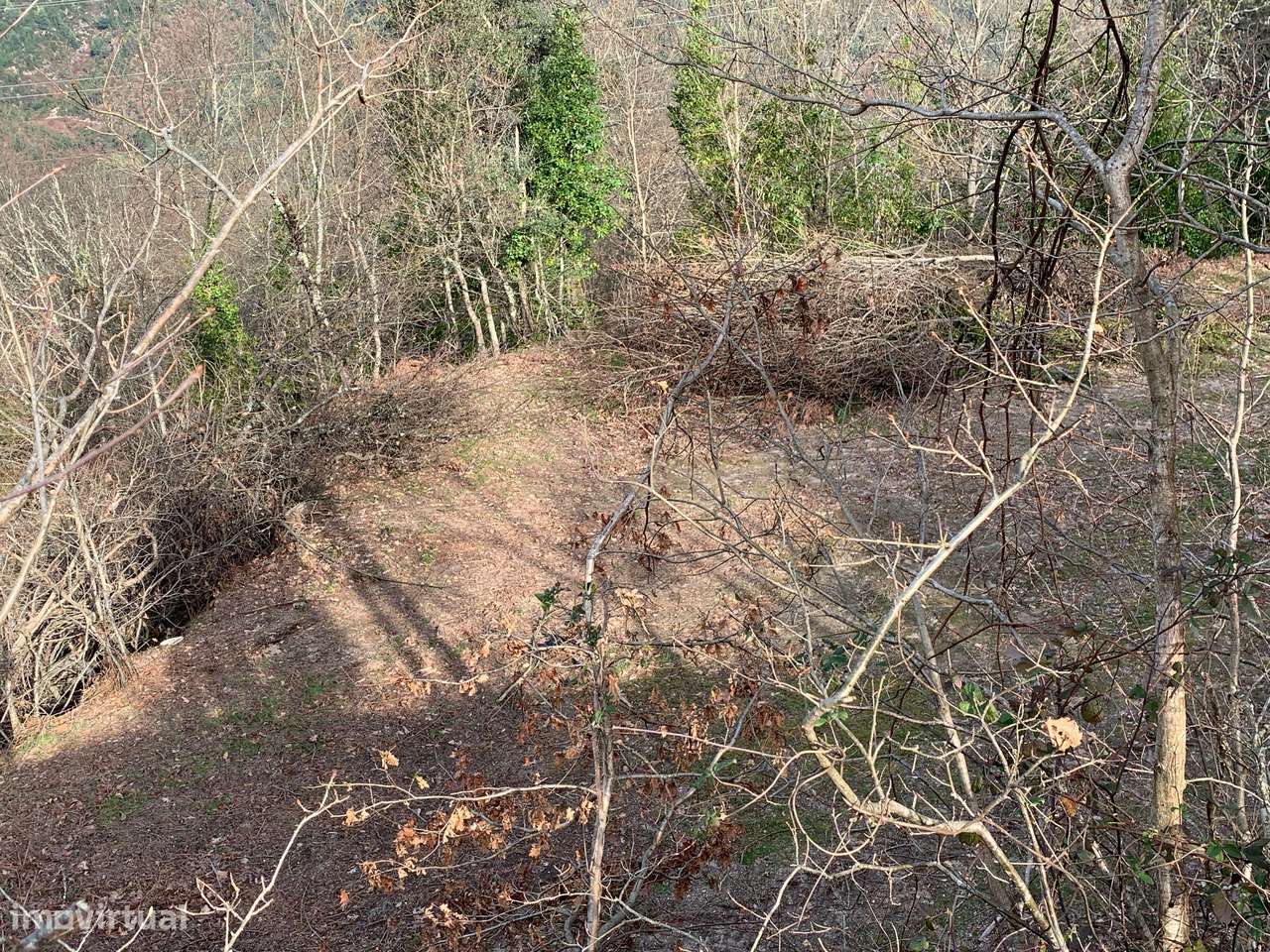 Terreno na zona do Gerês com vistas Rio - Grande imagem: 4/26