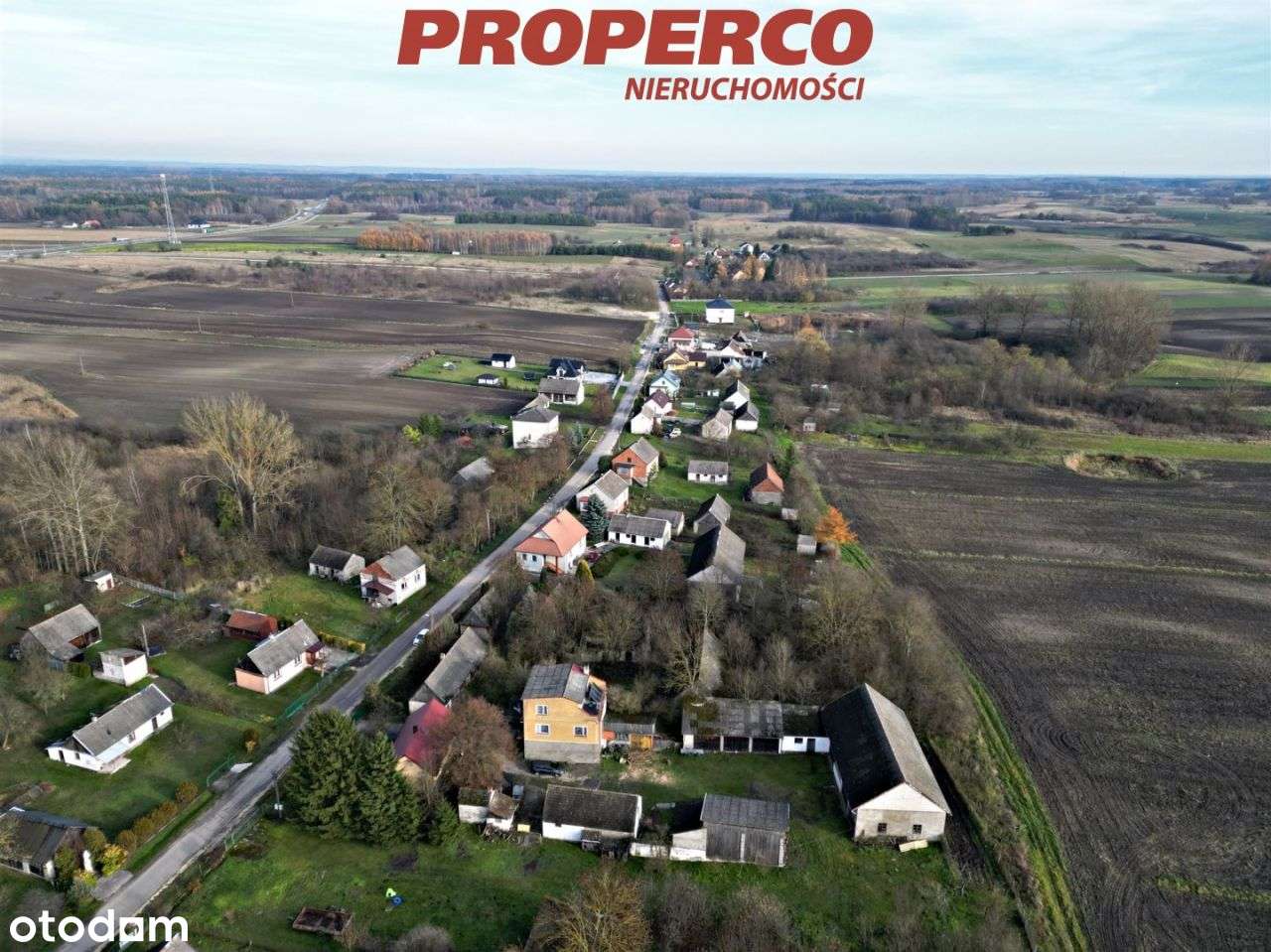 Działki o łącznej pow.65200m2,Samostrzałów,gm.Kije - Pełny obrazek: 4/8