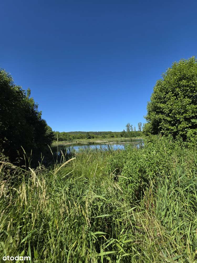Doskonała Inwestycja,  stawy, grunty , młyn - Pełny obrazek: 3/6
