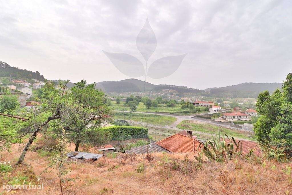 Quintinha em Escudeiros c/ aprox 3.200m2 e duas casas-24