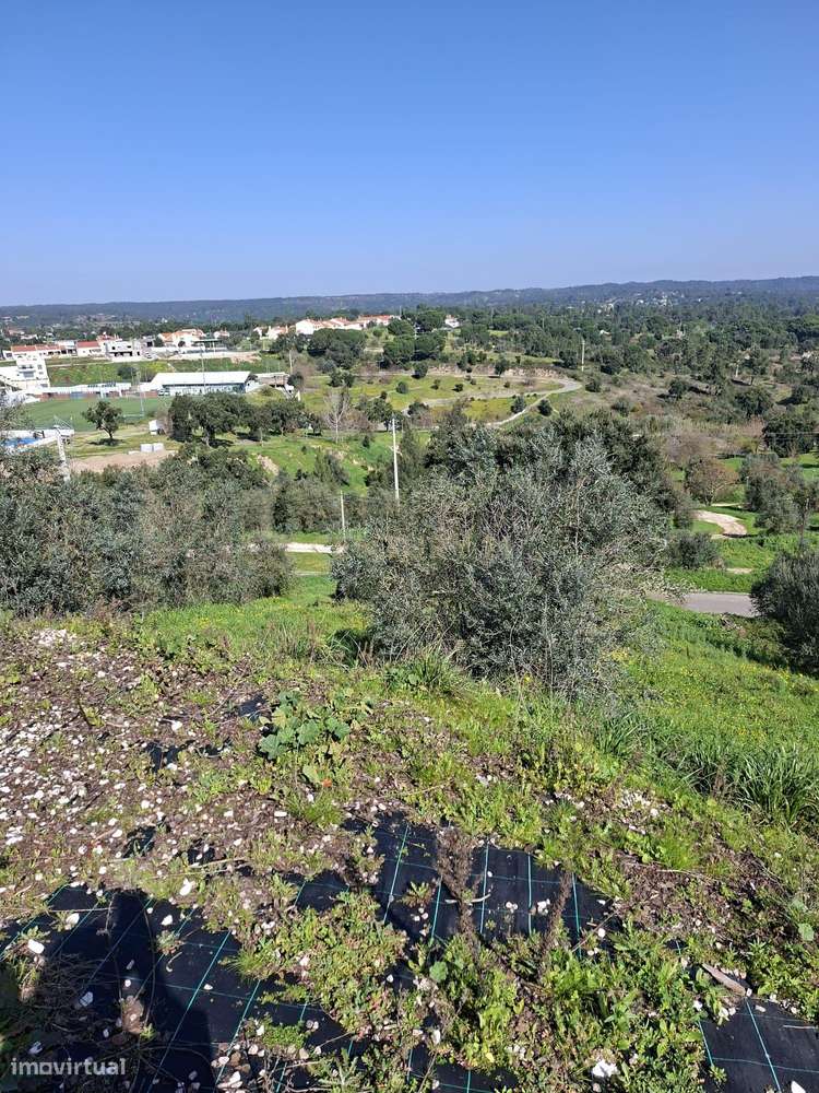 Oportunidade – Lote de Terreno em Montargil-6