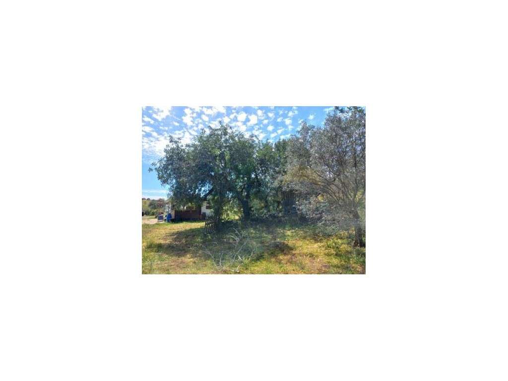 Terreno Rústico - Castro Marim - Grande imagem: 2/4