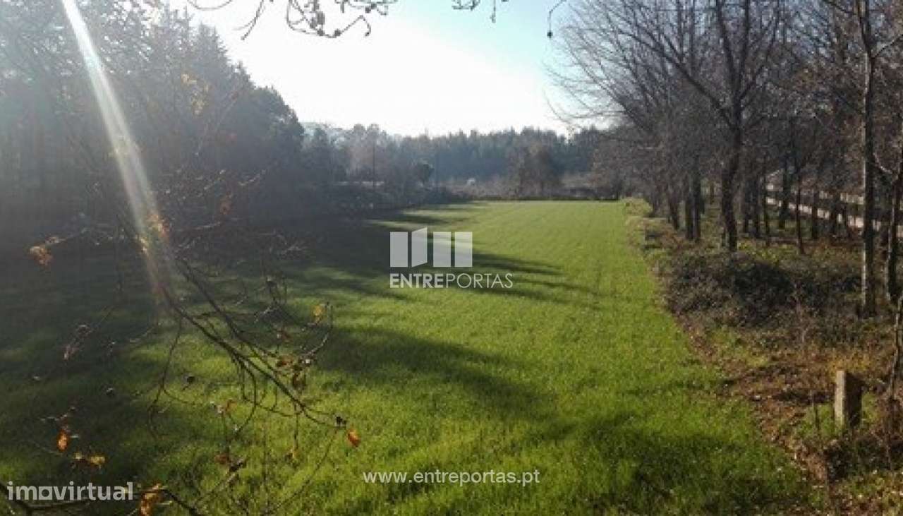 Venda Terreno, Folgosa, Maia - Grande imagem: 4/8