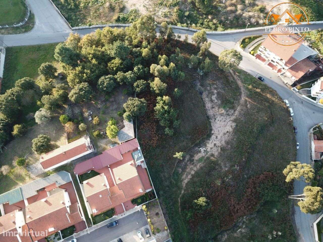 Terreno Urbano de 10.935m² em Oliveira do Douro - Oportunidade Única-8