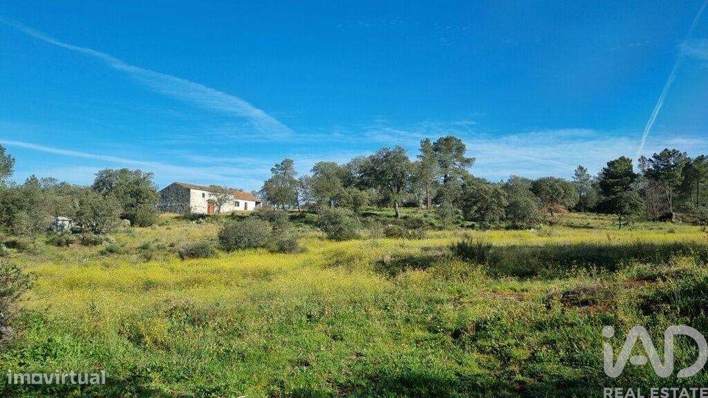 Quinta em Açores e Velosa - Grande imagem: 5/34