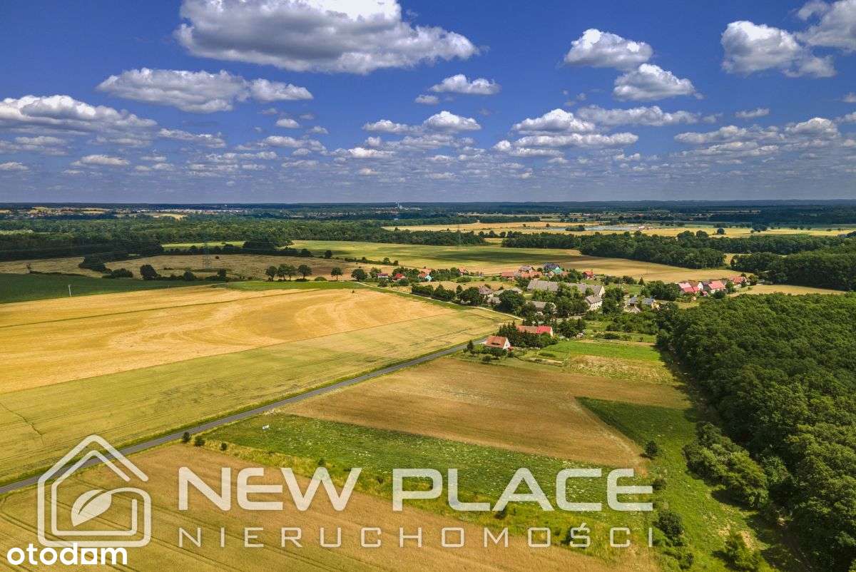 Pod lasem z Mpzp, prąd - ok. Wrocławia, Środy Śl. - Pełny obrazek: 4/9