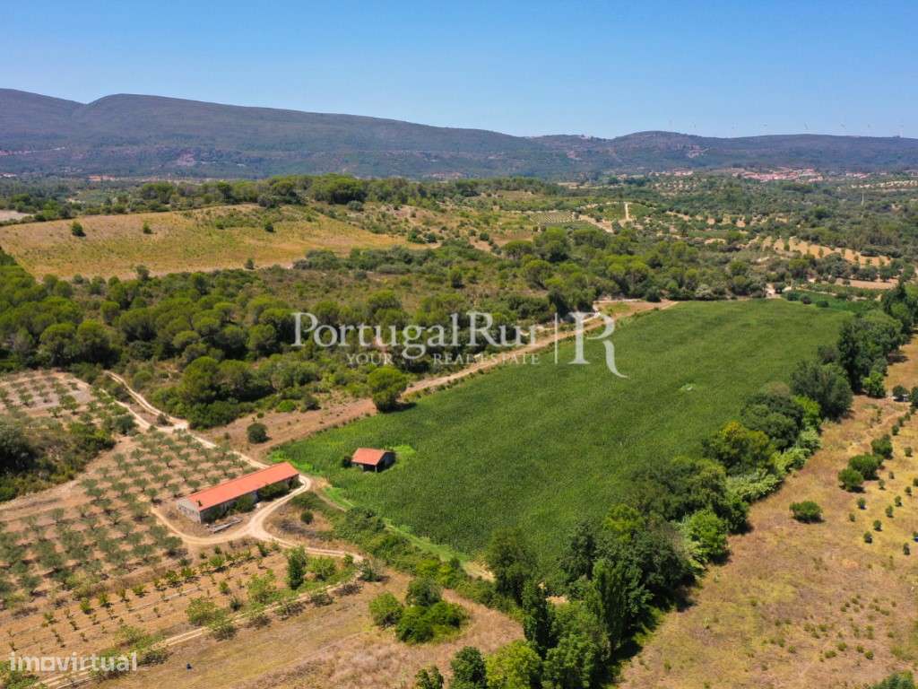Terreno com 16 hectares em Chancelaria, Torres Novas - Grande imagem: 2/19