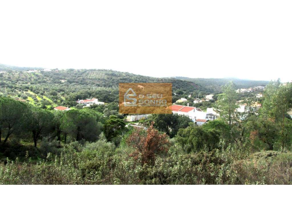 Grande Oportunidade de Negócio - Terreno para Construção em São Brá... - Grande imagem: 4/5