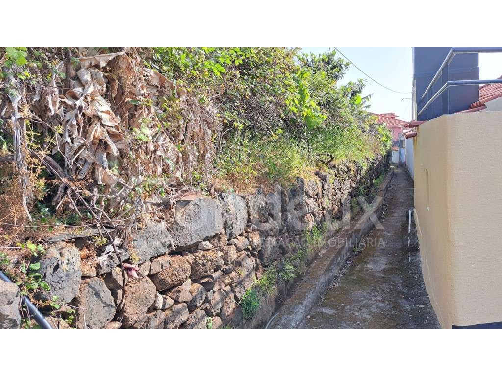 Terreno em Santa Cruz com vista mar - Grande imagem: 3/13