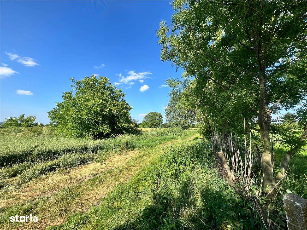 TEREN INTRAVILAN, 1200 mp, HARMAN, COMISION 0% - Imagine principală: 4/5