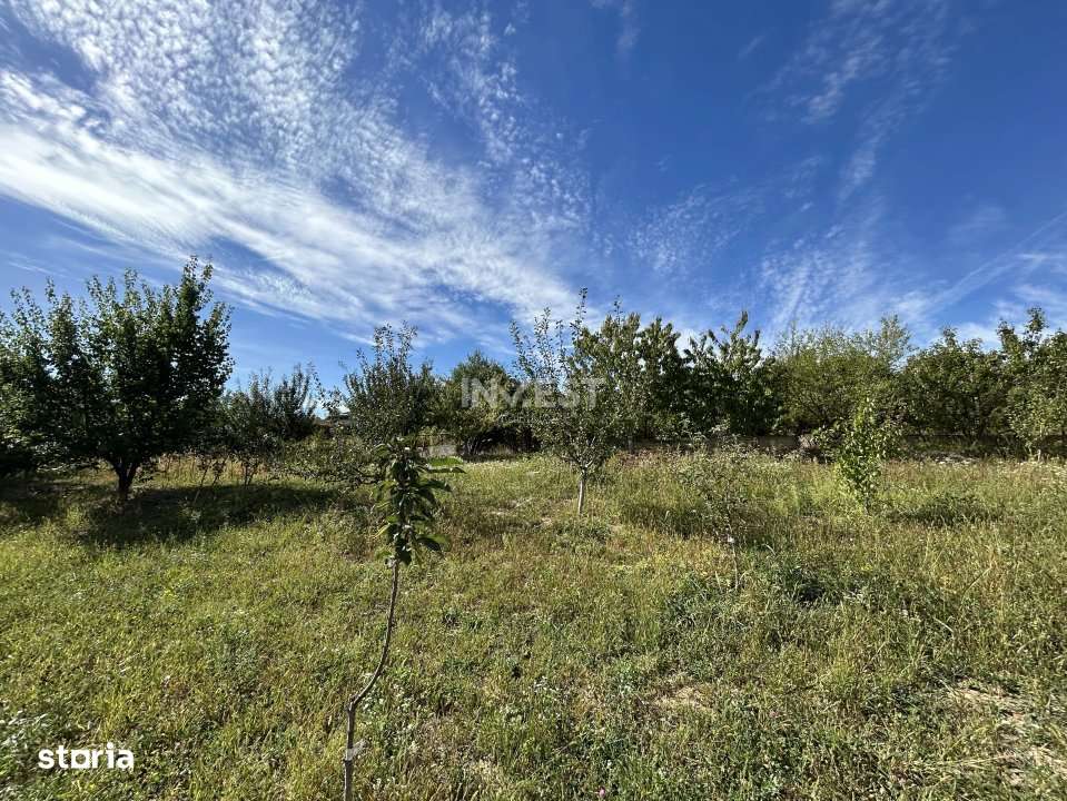 Casa de vanzare, parter 4 camere, garaj, 1424mp teren - Bucium- Visani - Imagine principală: 3/19