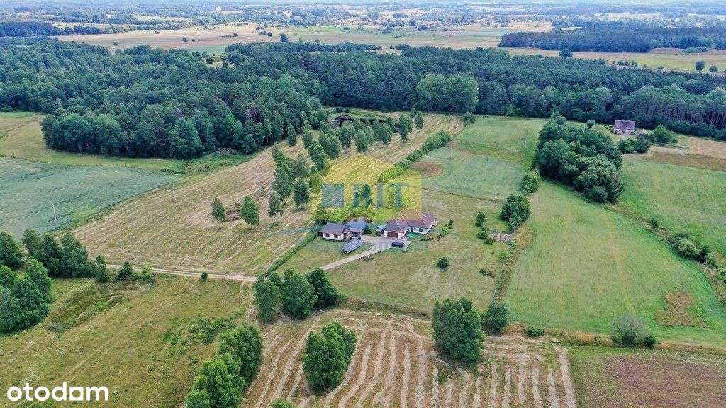 Działka 5600m2, pod lasem, Płocie - Pełny obrazek: 4/4