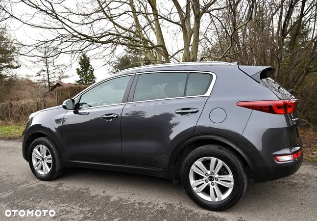 Kia Sportage - 24