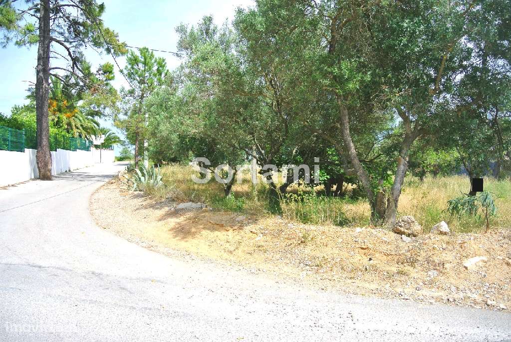 Terreno Para Construção  Venda em Santa Bárbara de Nexe,Faro - Grande imagem: 4/6