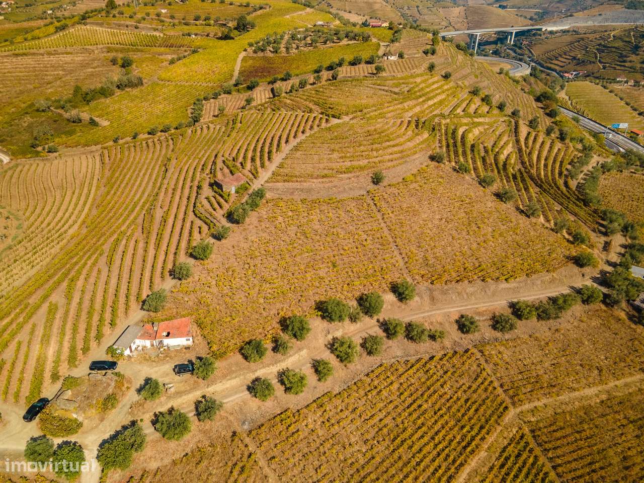 Quinta T4 Venda em Peso da Régua e Godim,Peso da Régua-13