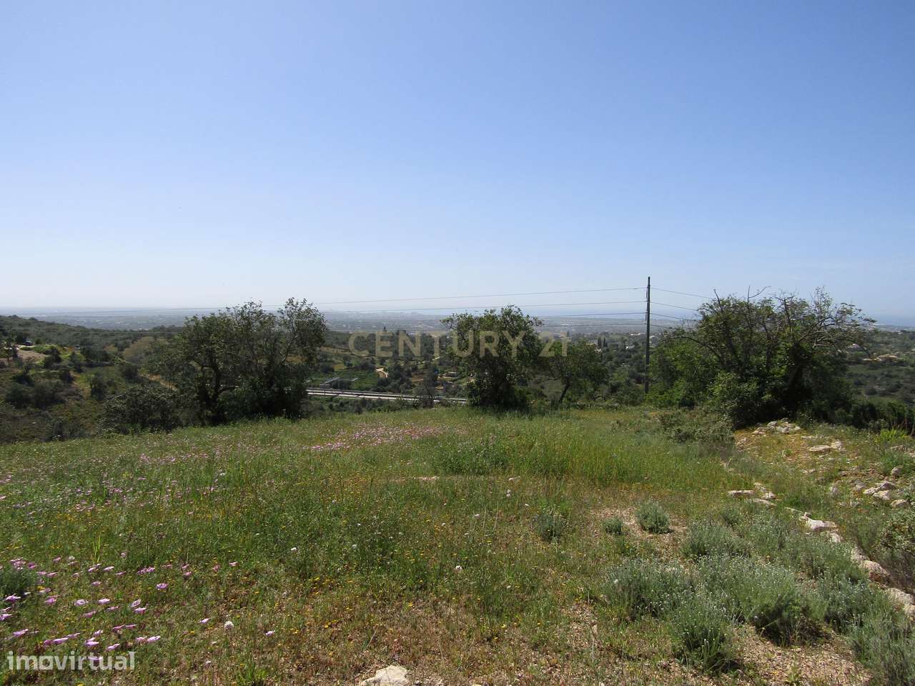 Terreno Rústico - Grande imagem: 4/5