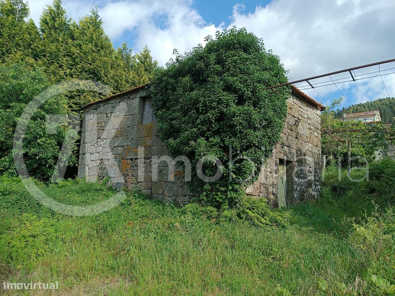 Quinta em Paredes de Viadores - Grande imagem: 5/17