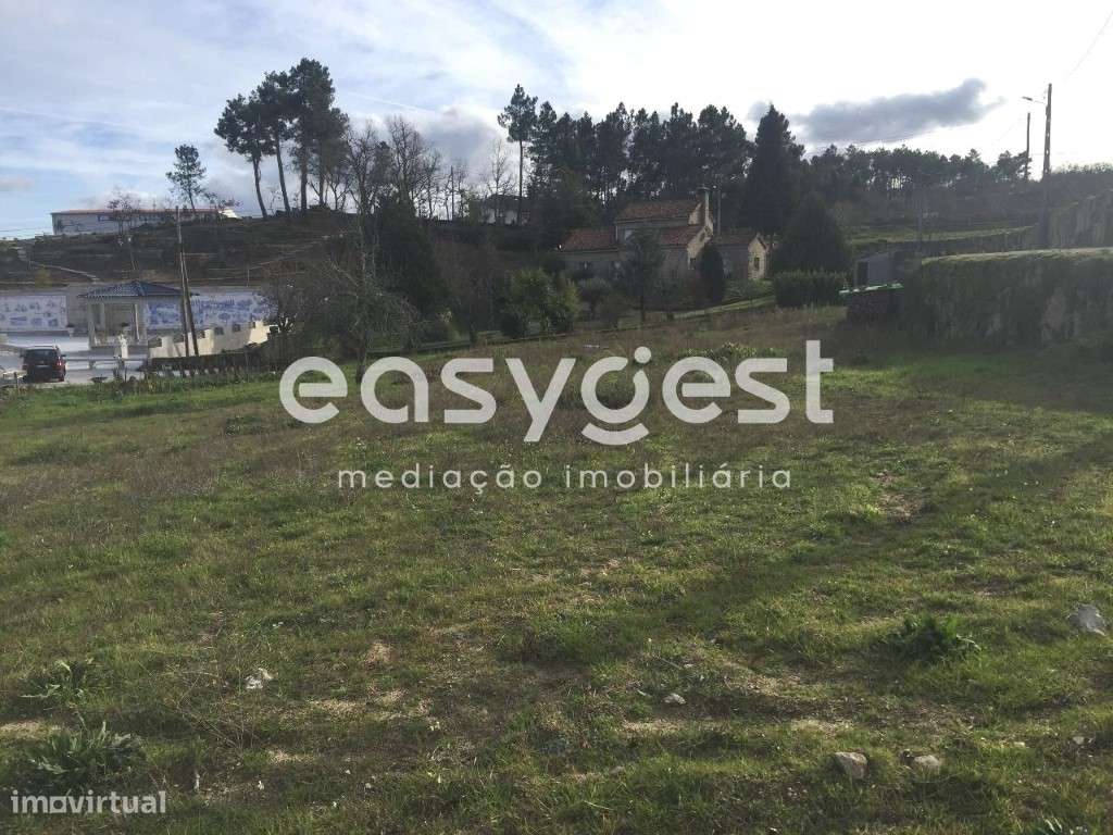 Terreno Agrícola na Torre do Terreno - Grande imagem: 4/6