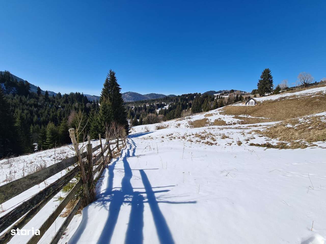 Teren situat langa padure de Vanzare - Imagine principală: 5/6