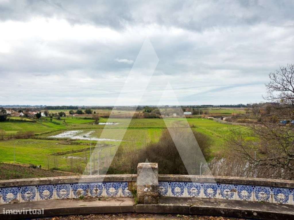 Lote de Terreno para construção de moradia na Sra. Do Monte - Salreu-7