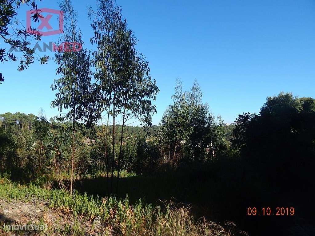 Vale de Lobos - Grande imagem: 2/16