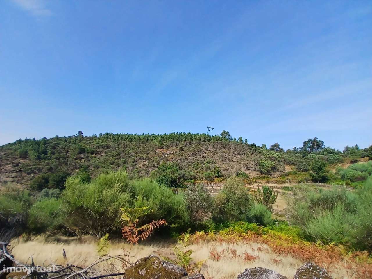 Terreno rústico com casa em pedra para recuperar – Soajo, Arcos de Val-41